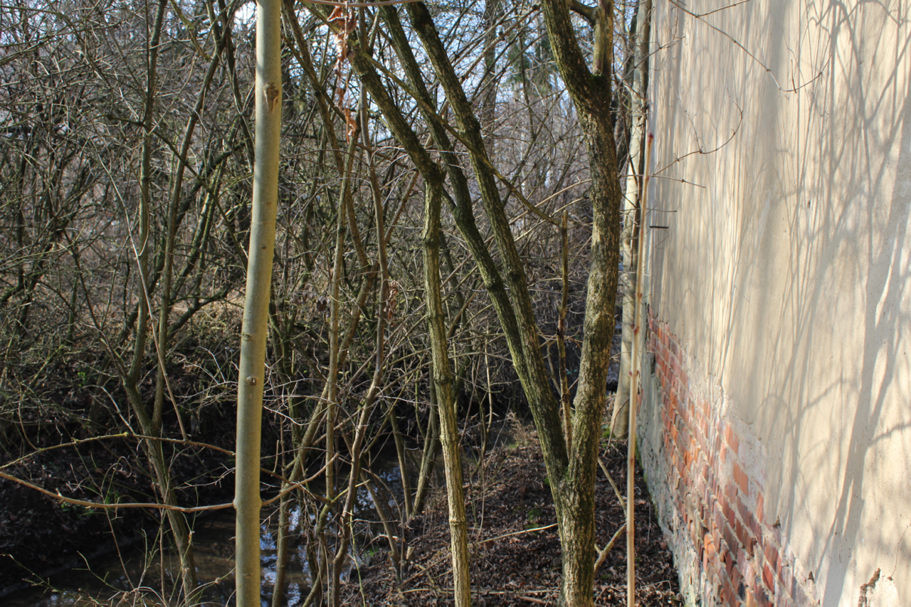 Opuszczony maly domek przy strumyku - KS URBEX - Opuszczone budynki