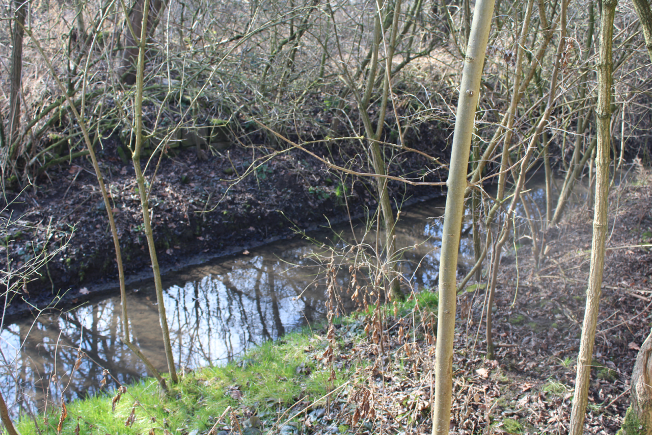 Opuszczony maly domek przy strumyku - KS URBEX - Opuszczone budynki