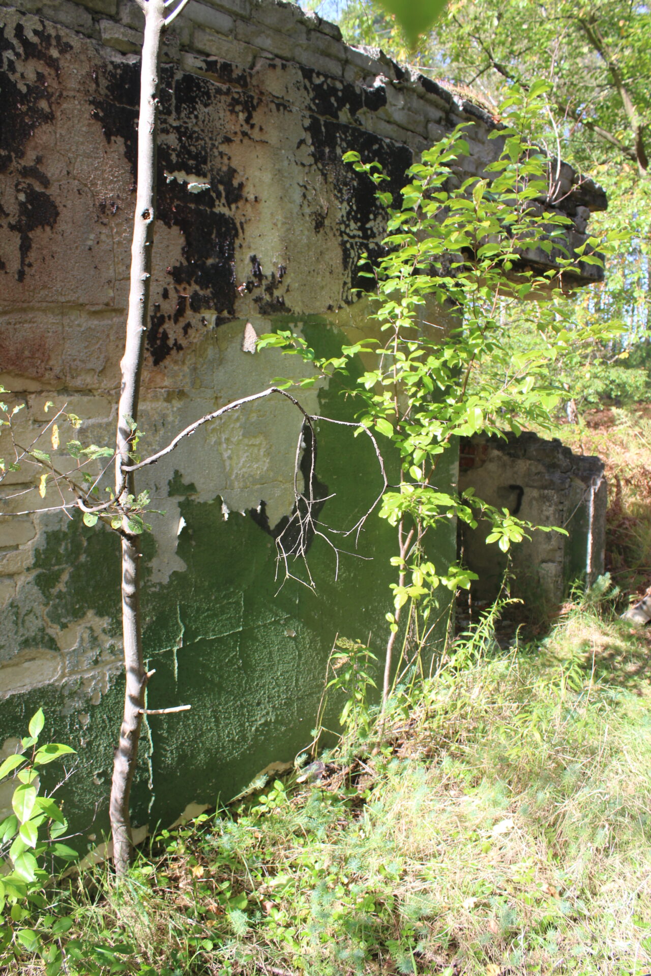 11 Dywizjon rakietowy obrony powietrznej w Kuźni Raciborskiej - KSURBEX
