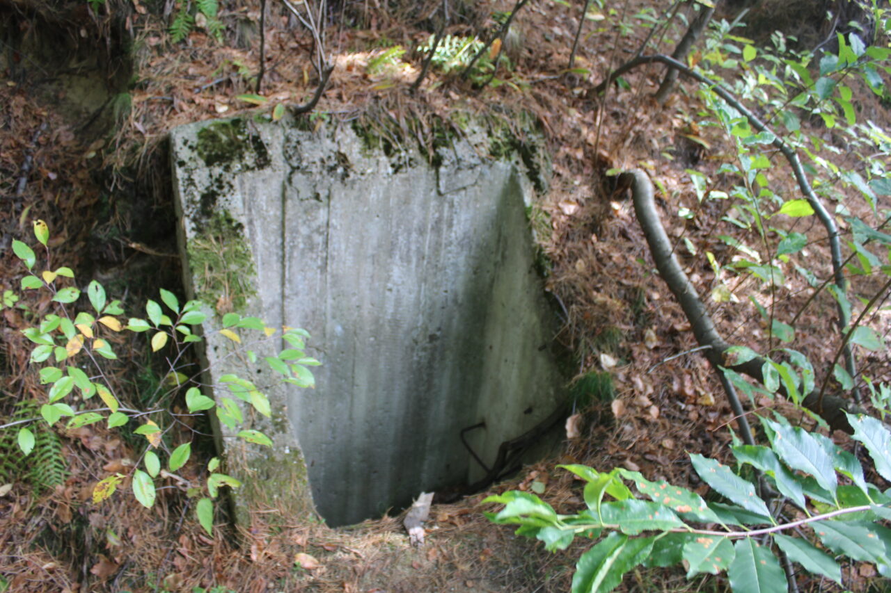 11 Dywizjon rakietowy obrony powietrznej w Kuźni Raciborskiej - KSURBEX