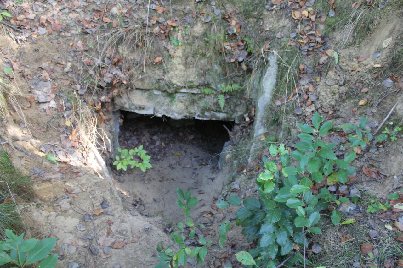 11 Dywizjon rakietowy obrony powietrznej w Kuźni Raciborskiej - KSURBEX