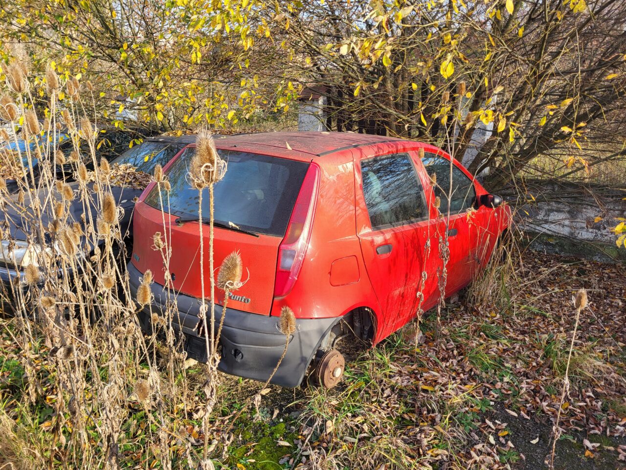 Opuszczony komis samochodowy - cmentarzysko pojazdów - ksurbex