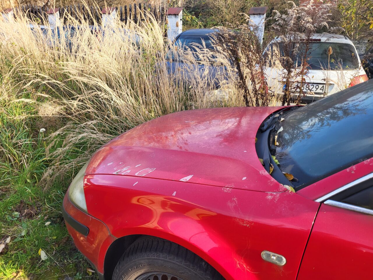 Opuszczony komis samochodowy - cmentarzysko pojazdów - ksurbex