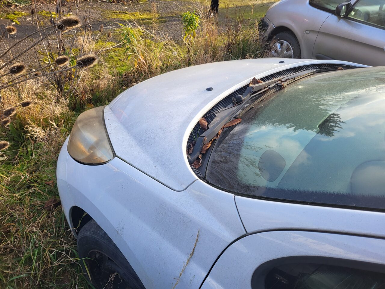 Opuszczony komis samochodowy - cmentarzysko pojazdów - ksurbex