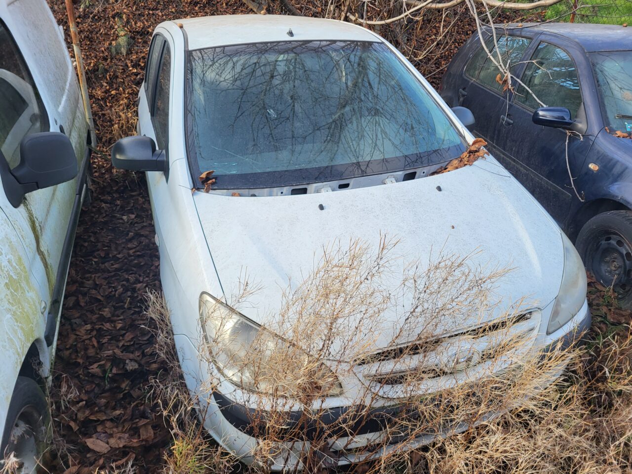 Opuszczony komis samochodowy - cmentarzysko pojazdów - ksurbex