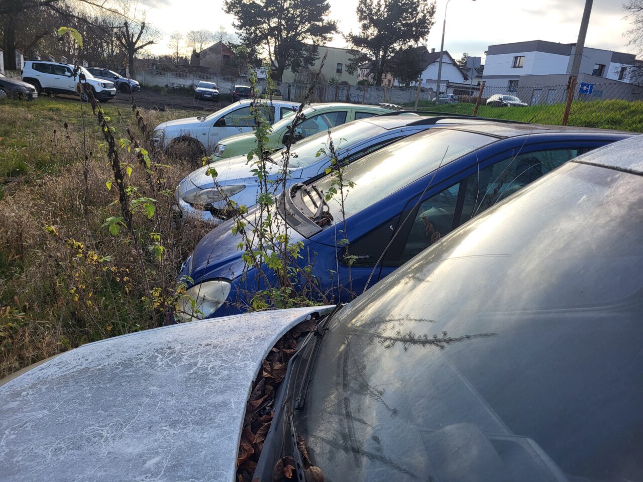 Opuszczony komis samochodowy - cmentarzysko pojazdów - ksurbex