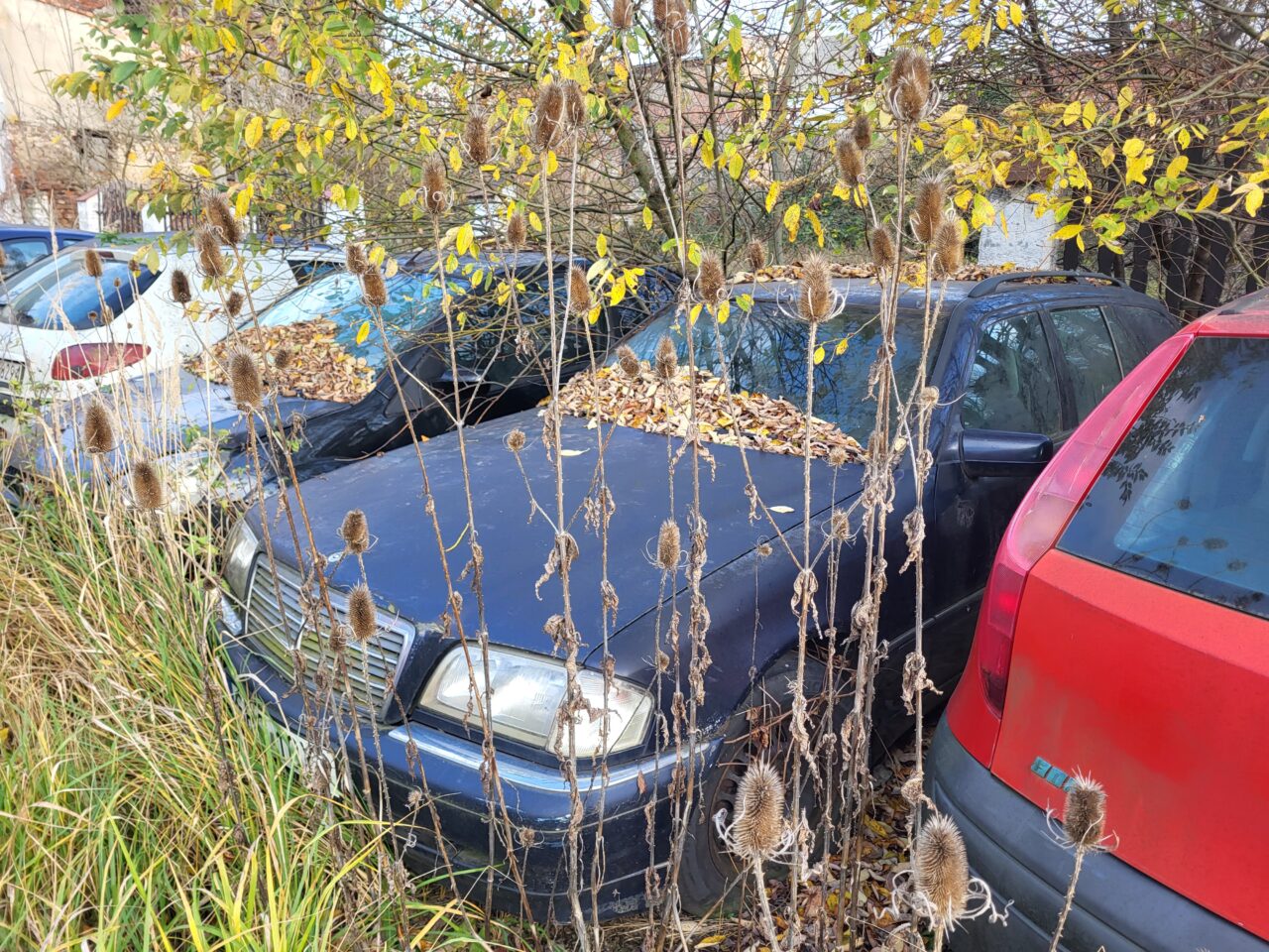 Opuszczony komis samochodowy - cmentarzysko pojazdów - ksurbex