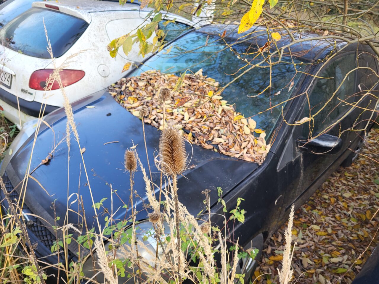 Opuszczony komis samochodowy - cmentarzysko pojazdów - ksurbex