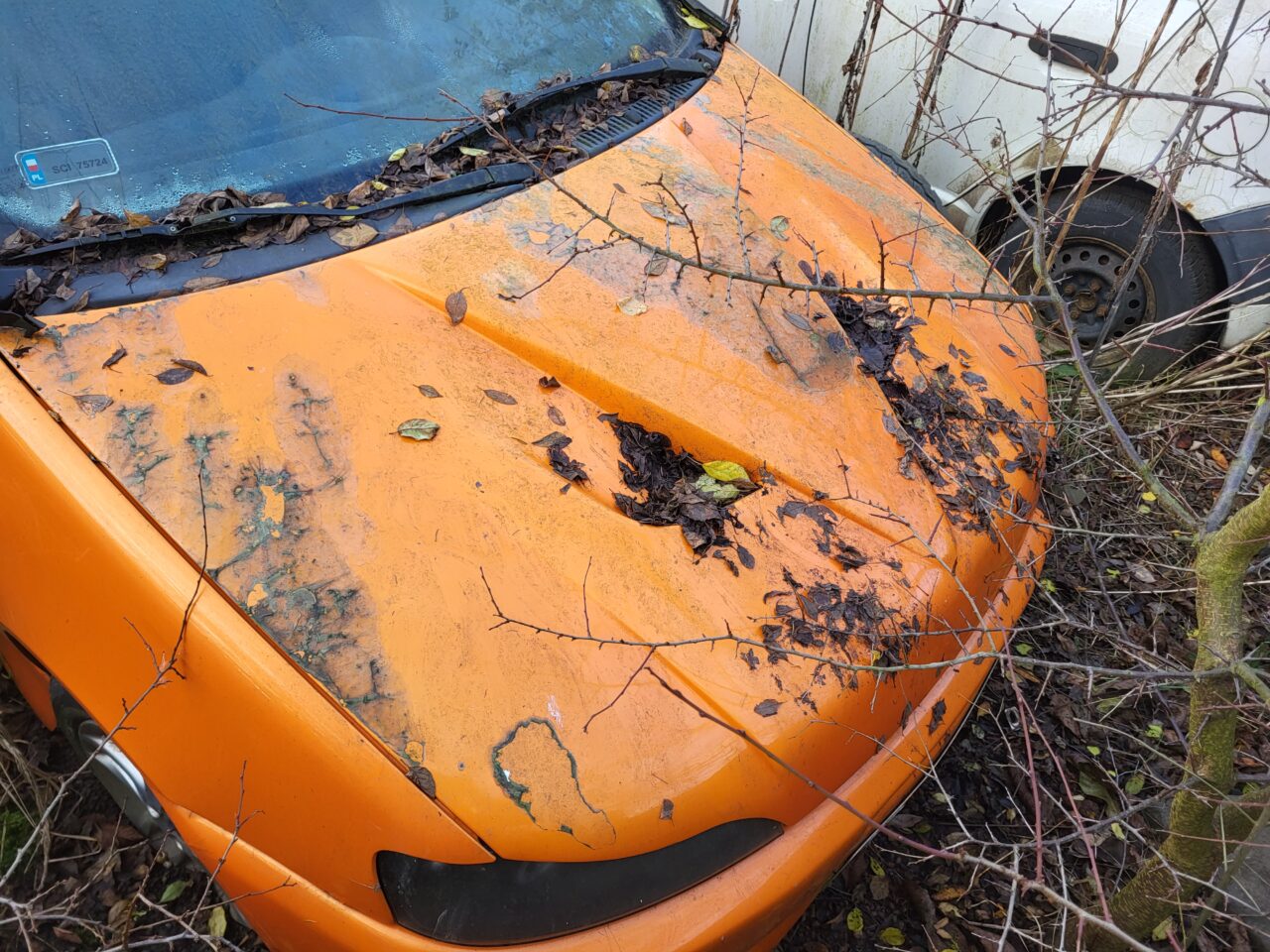 Opuszczony komis samochodowy - cmentarzysko pojazdów - ksurbex