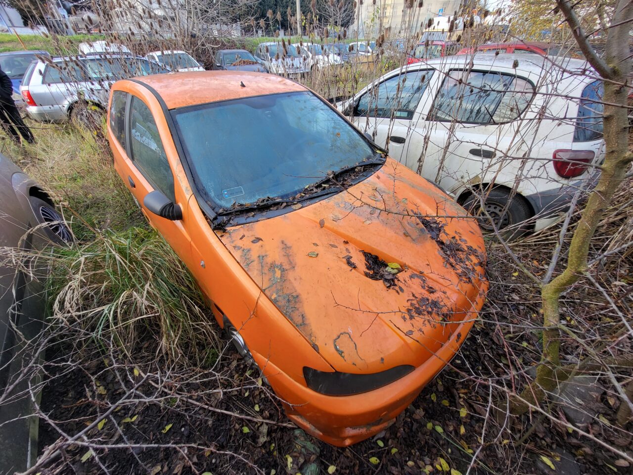 Opuszczony komis samochodowy - cmentarzysko pojazdów - ksurbex