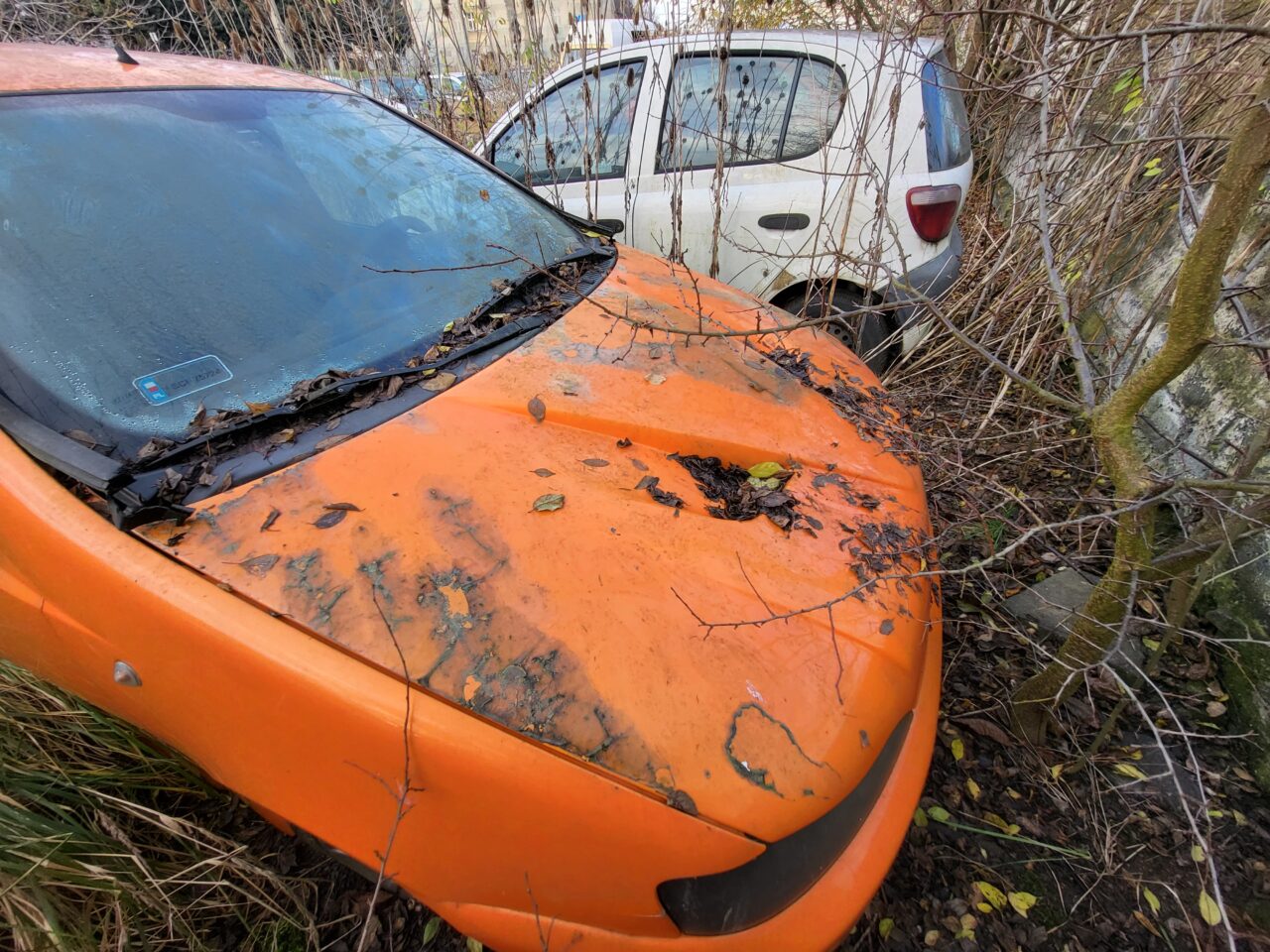 Opuszczony komis samochodowy - cmentarzysko pojazdów - ksurbex