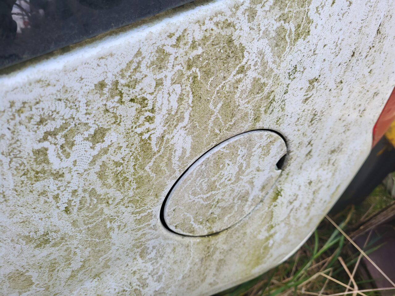 Opuszczony komis samochodowy - cmentarzysko pojazdów - ksurbex