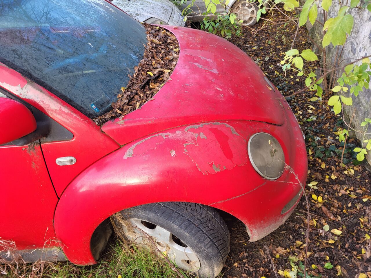 Opuszczony komis samochodowy - cmentarzysko pojazdów - ksurbex