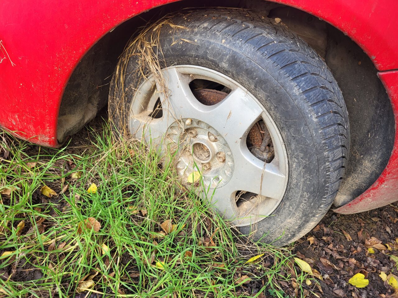 Opuszczony komis samochodowy - cmentarzysko pojazdów - ksurbex