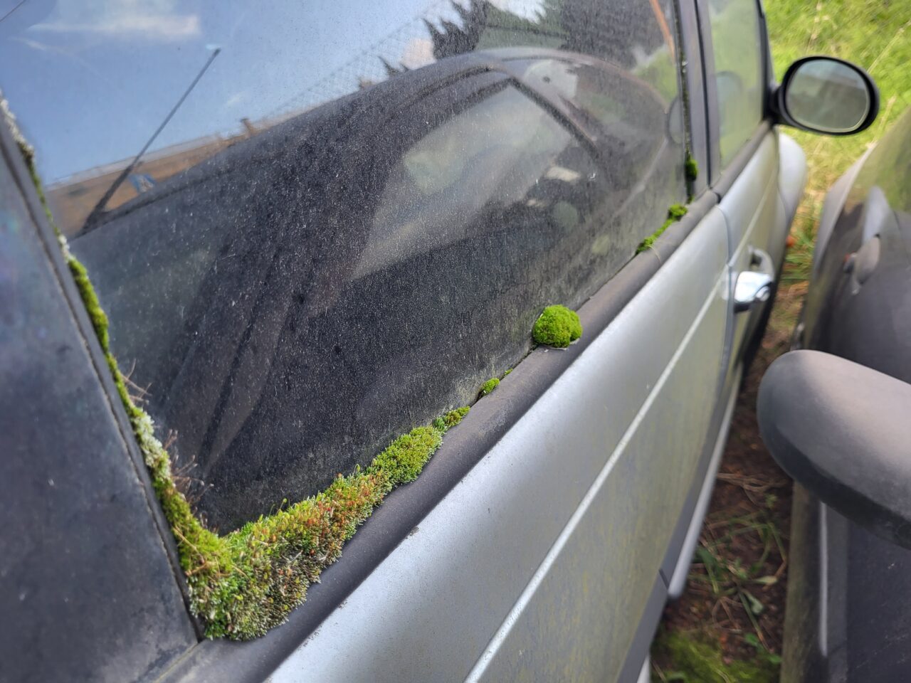 Opuszczony komis samochodowy - cmentarzysko pojazdów - ksurbex