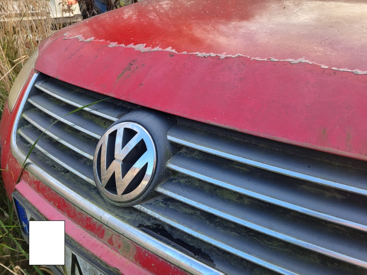 Opuszczony komis samochodowy - cmentarzysko pojazdów - ksurbex