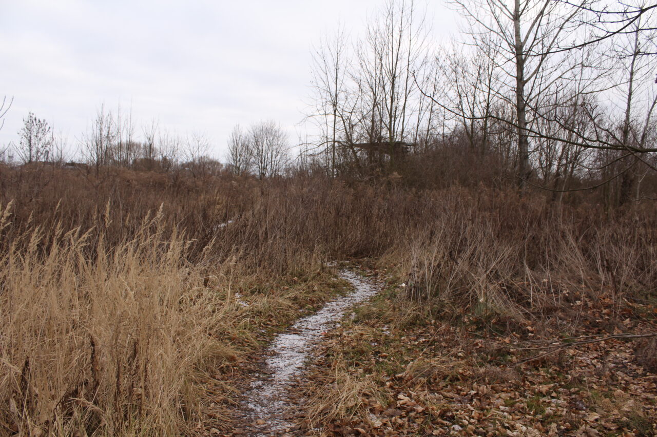 Opuszczony basen w Kietrzu woj. Opolskie - Ekspolracja KS URBEX