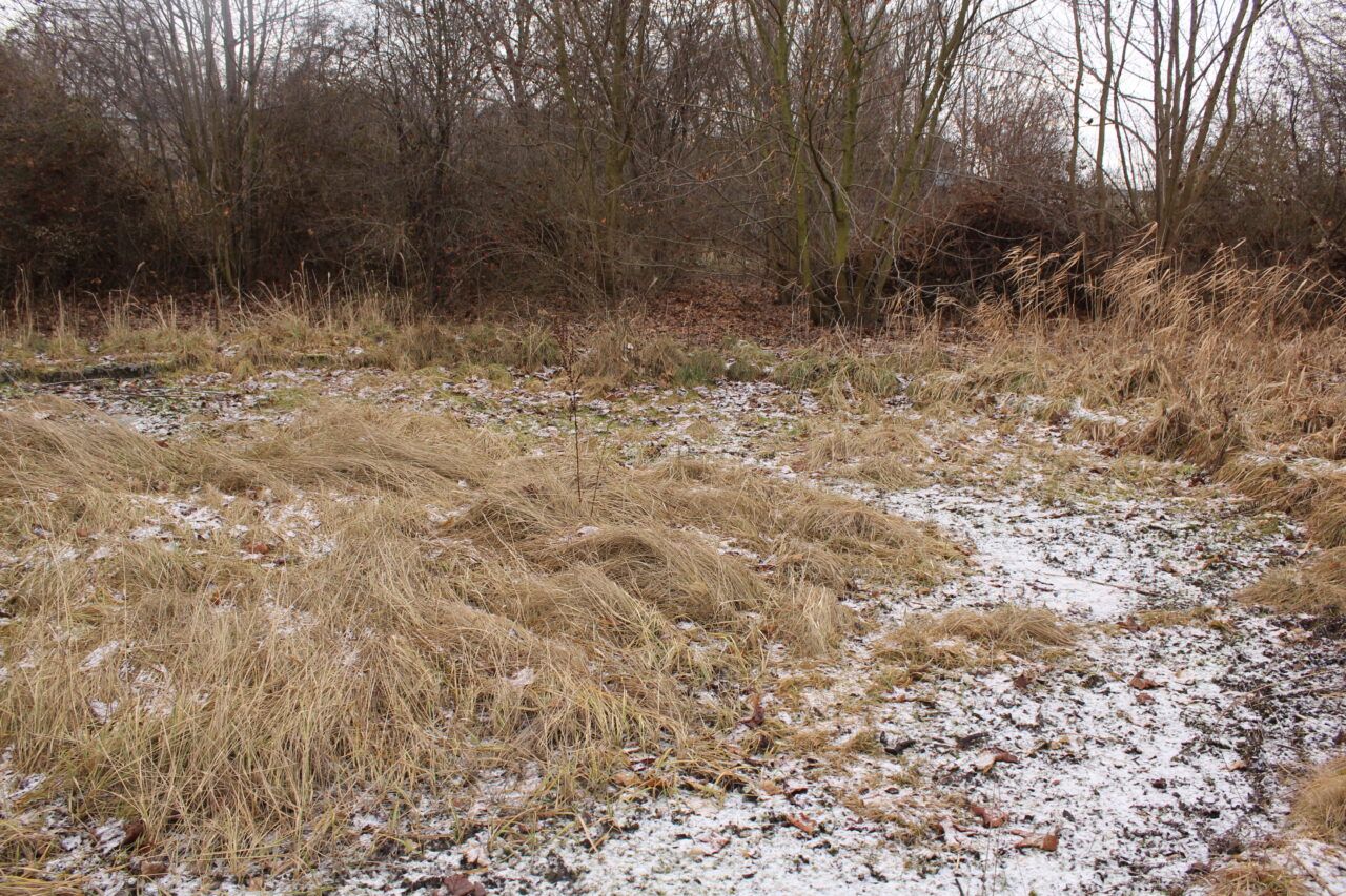 Opuszczony basen w Kietrzu woj. Opolskie - Ekspolracja KS URBEX