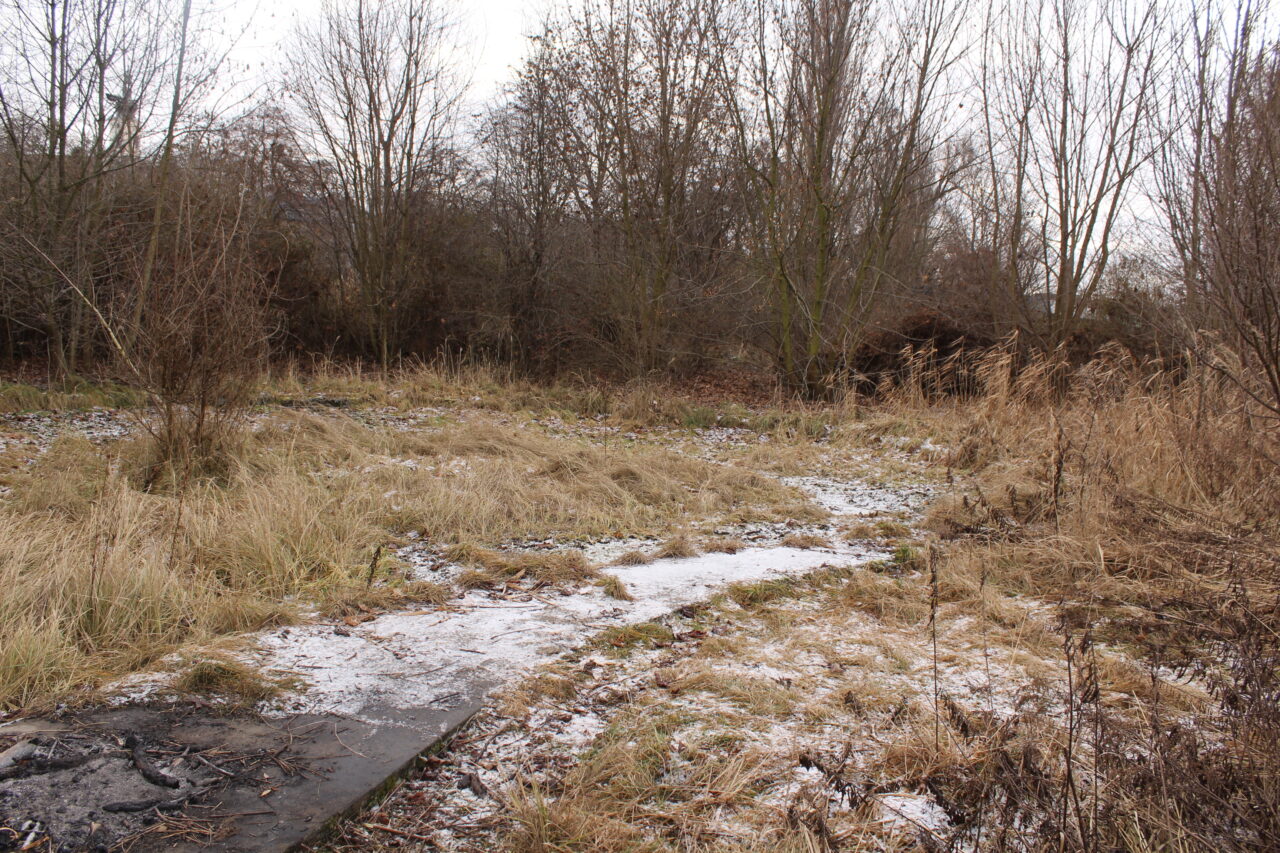 Opuszczony basen w Kietrzu woj. Opolskie - Ekspolracja KS URBEX