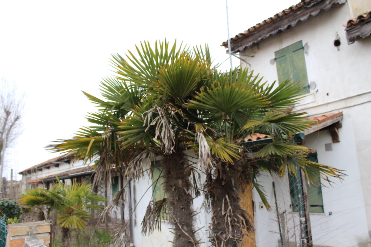 Opuszczone budynki we Włoszech Calvallino z samochodem