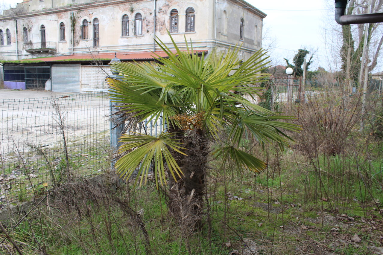 Opuszczone budynki we Włoszech Calvallino z samochodem