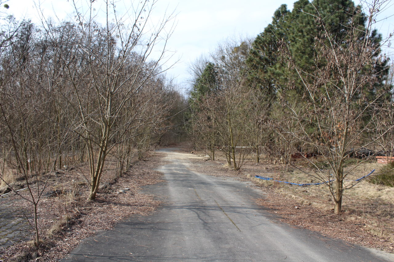 Opuszczone budynki i hale po międzynarodowych targach Katowickich MTK - KS URBEX