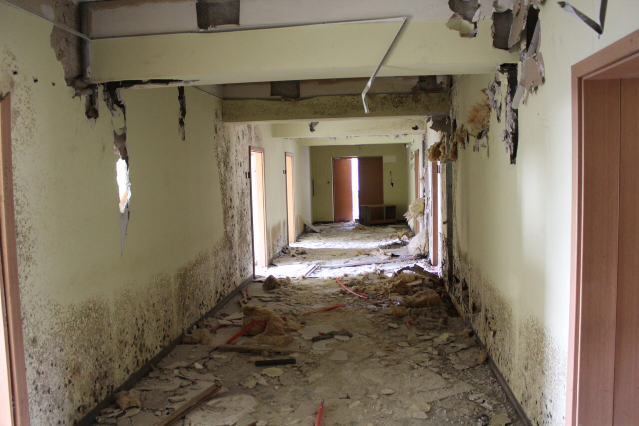 Opuszczony budynek po uniwersytecie w Chorzowie